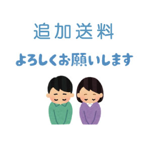 追加送料